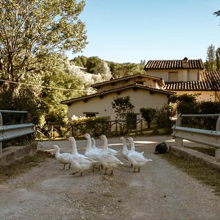 Agriturismo Le Radici أمبيرتيدي المظهر الخارجي الصورة