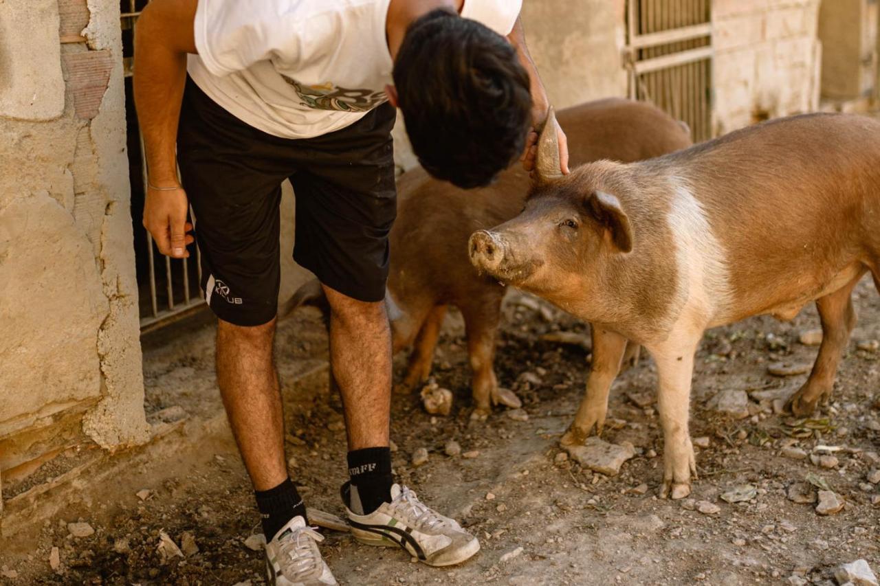 Agriturismo Le Radici أمبيرتيدي المظهر الخارجي الصورة