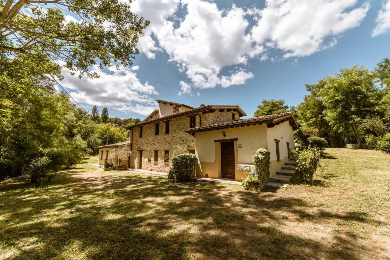 Agriturismo Le Radici أمبيرتيدي المظهر الخارجي الصورة