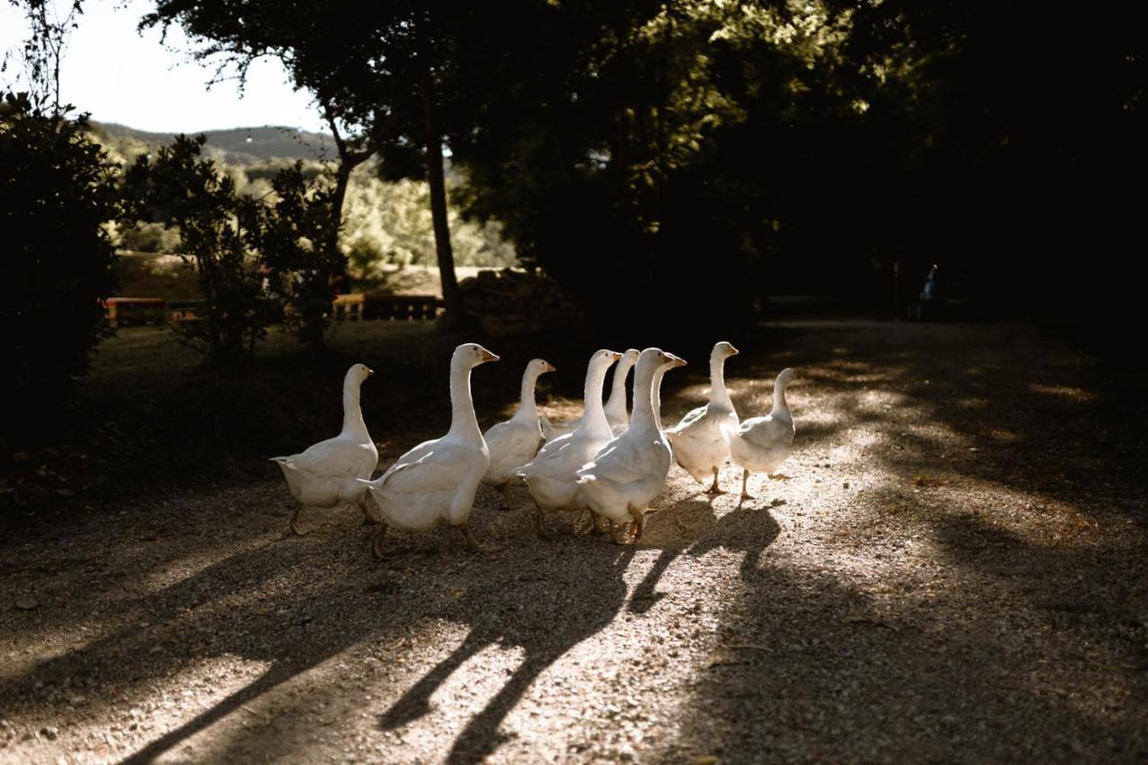 Agriturismo Le Radici أمبيرتيدي المظهر الخارجي الصورة
