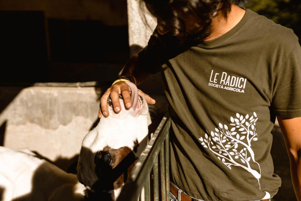 Agriturismo Le Radici أمبيرتيدي المظهر الخارجي الصورة