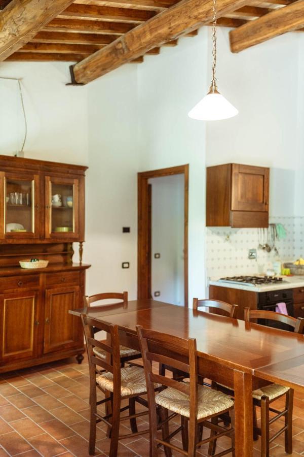 Agriturismo Le Radici أمبيرتيدي المظهر الخارجي الصورة